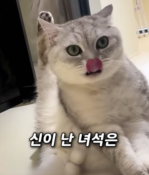 집사 새1끼가 악마 그잡체인 경우_27.jpg