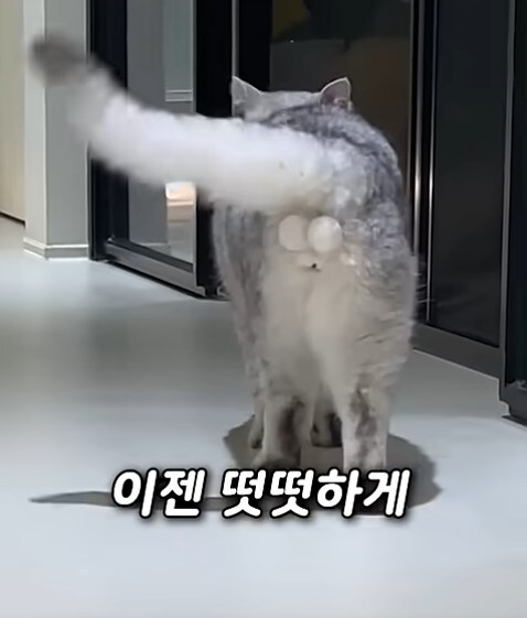 집사 새1끼가 악마 그잡체인 경우_28.jpg