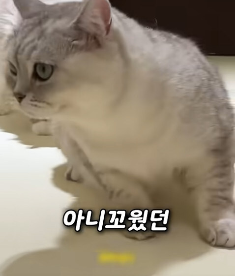 집사 새1끼가 악마 그잡체인 경우_32.jpg