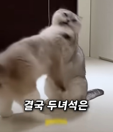 집사 새1끼가 악마 그잡체인 경우_37.jpg