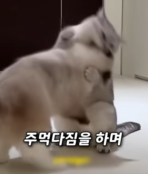 집사 새1끼가 악마 그잡체인 경우_38.jpg