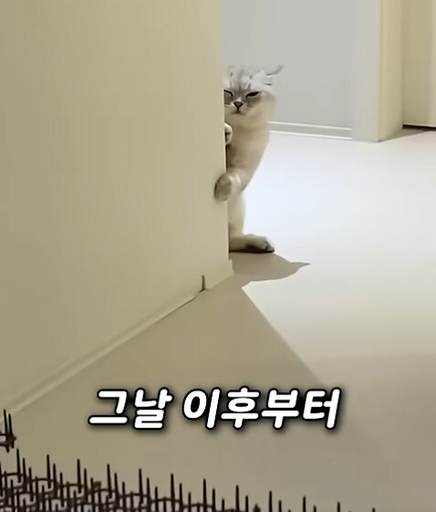 집사 새1끼가 악마 그잡체인 경우_40.jpg