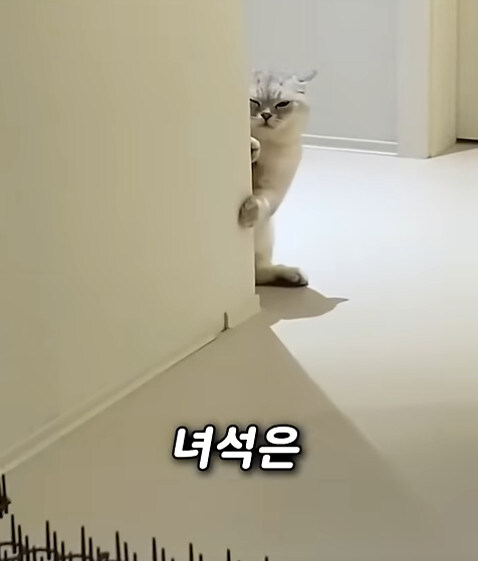 집사 새1끼가 악마 그잡체인 경우_41.jpg