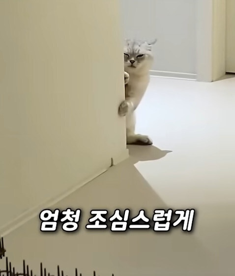 집사 새1끼가 악마 그잡체인 경우_42.jpg