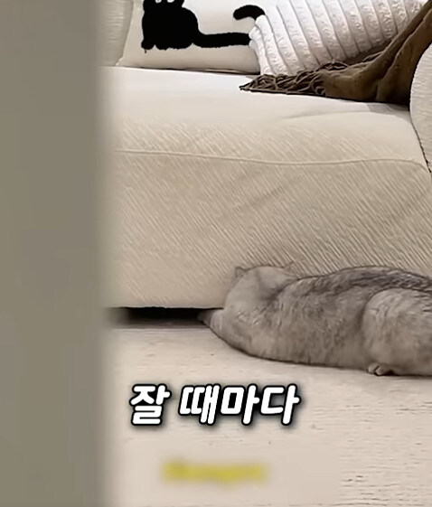 집사 새1끼가 악마 그잡체인 경우_44.jpg