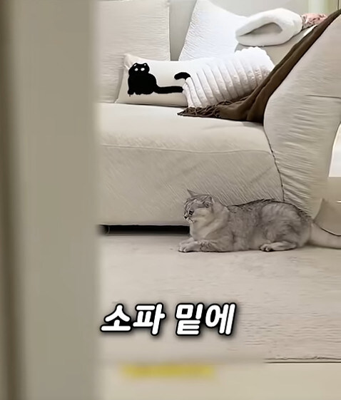 집사 새1끼가 악마 그잡체인 경우_46.jpg