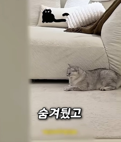 집사 새1끼가 악마 그잡체인 경우_47.jpg