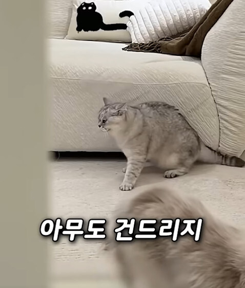 집사 새1끼가 악마 그잡체인 경우_48.jpg