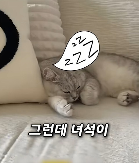 집사 새1끼가 악마 그잡체인 경우_50.jpg