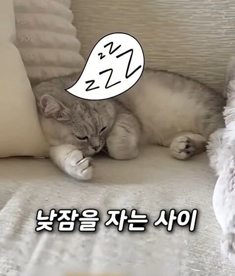 집사 새1끼가 악마 그잡체인 경우_51.jpg