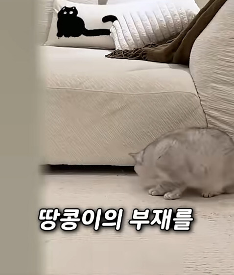 집사 새1끼가 악마 그잡체인 경우_55.jpg