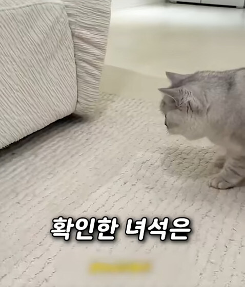 집사 새1끼가 악마 그잡체인 경우_56.jpg