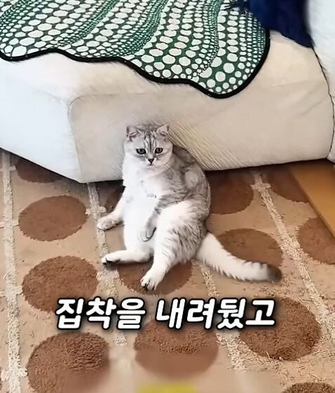 집사 새1끼가 악마 그잡체인 경우_62.jpg