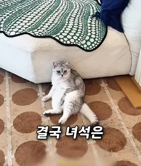 집사 새1끼가 악마 그잡체인 경우_60.jpg