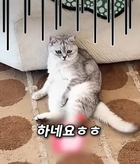 집사 새1끼가 악마 그잡체인 경우_65.jpg