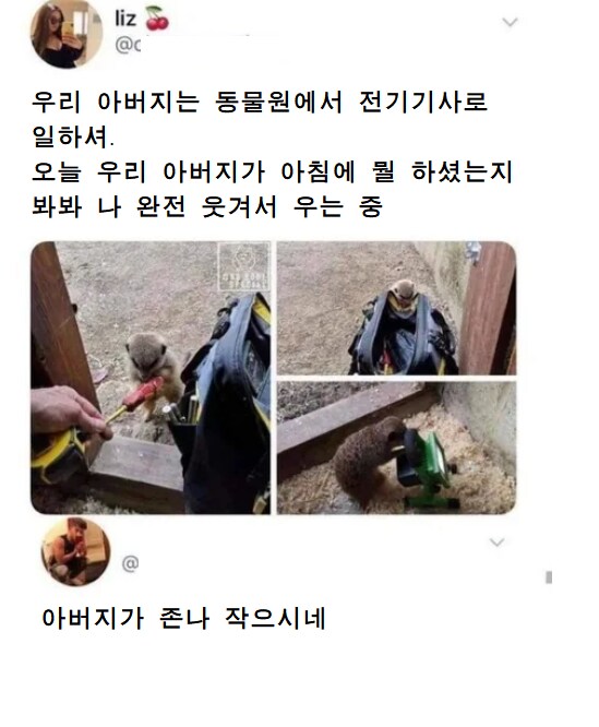 동물원에서 전기기사로 힘들게 일하시는 아버지.png_1.png