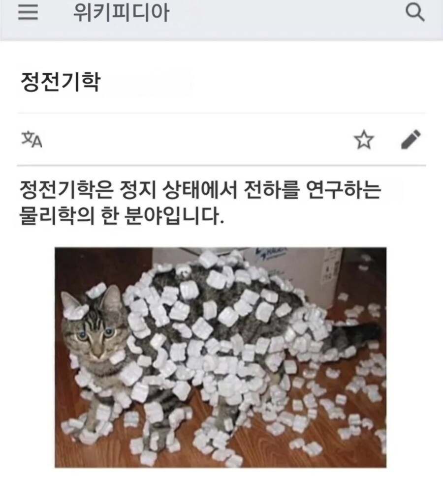 정전기학.cat_2.png