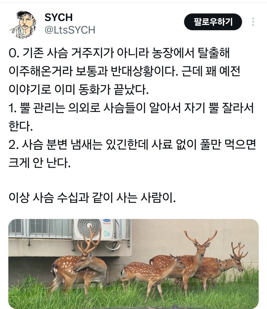 사슴과 같이 사는 아파트_1.jpg