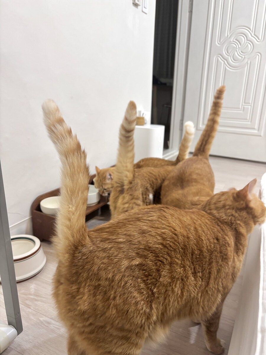 밥 양 줄였더니 폭동 일어남.jpg_1.jpg