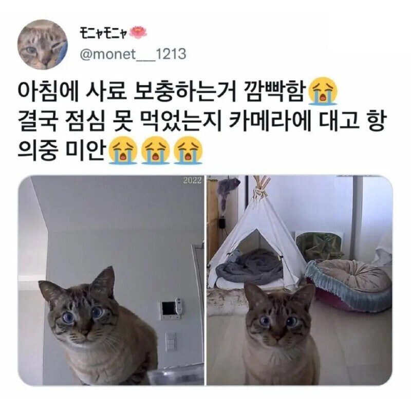 사장님 월급 주셔야죠, 예?_1.jpg