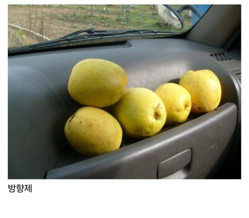 자동차 필수템_1.jpg