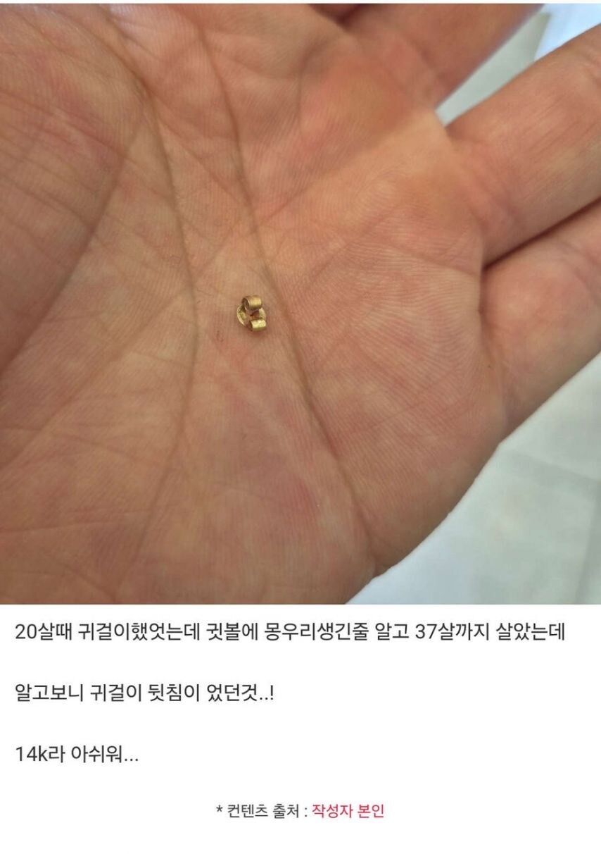 17년동안 존버한 금.jpg_1.png
