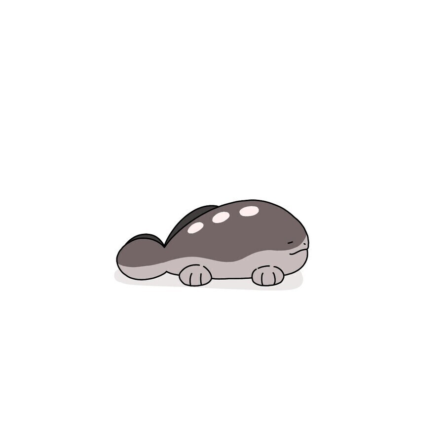 과거 우파였다 이제는 누 쓰는 애_8.jpg