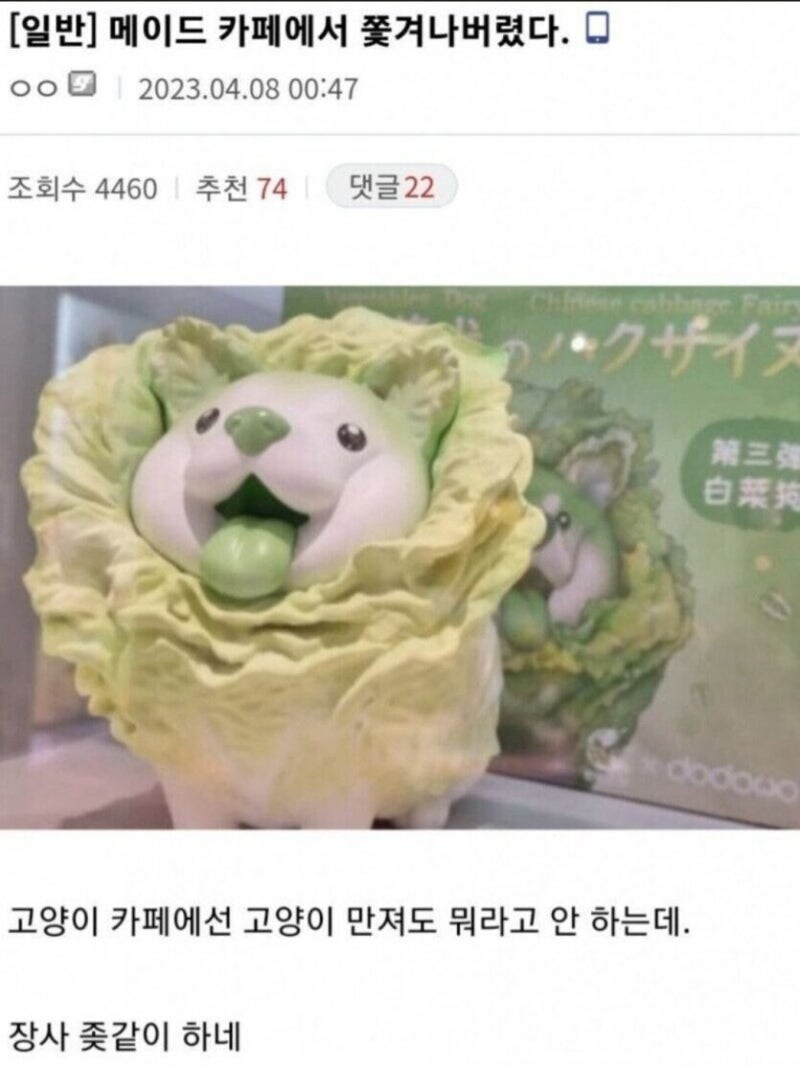 메이드 카페에서 쫒겨나버렸다._1.jpg