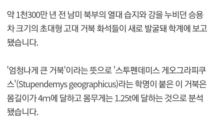 1300만년 전 살았던 고대 거북이의 크기_6.webp