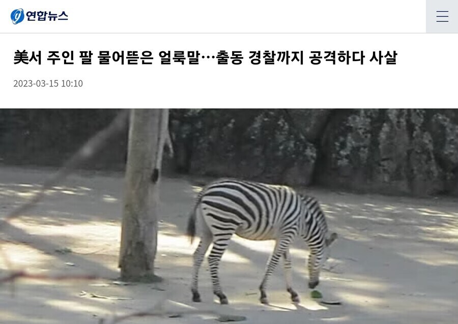 여자 앞에서 가오잡다 경찰에게 참교육당함.news_1.jpg