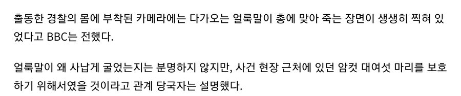 여자 앞에서 가오잡다 경찰에게 참교육당함.news_2.jpg