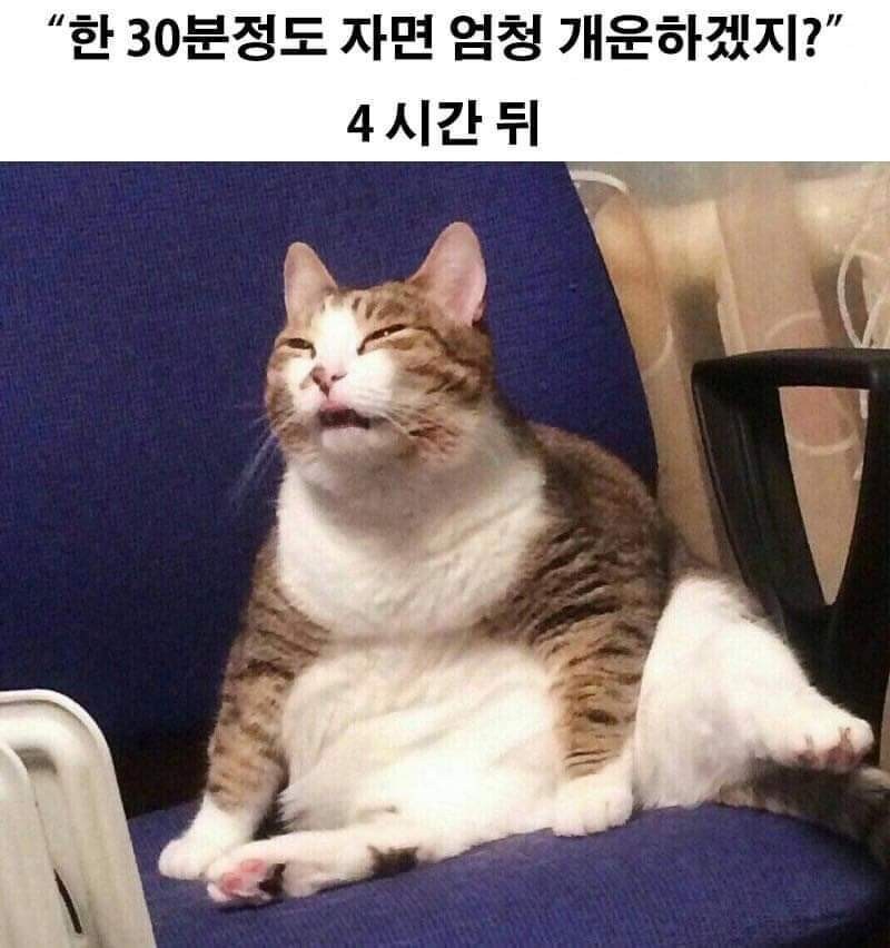 한 30분만 자면 개운하겠지?.jpg_1.png