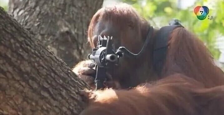 사격중지!! 사격중지!!_1.jpg