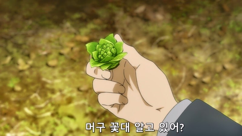 길가에 자란 나물을 채취할때 유의사항_2.jpg