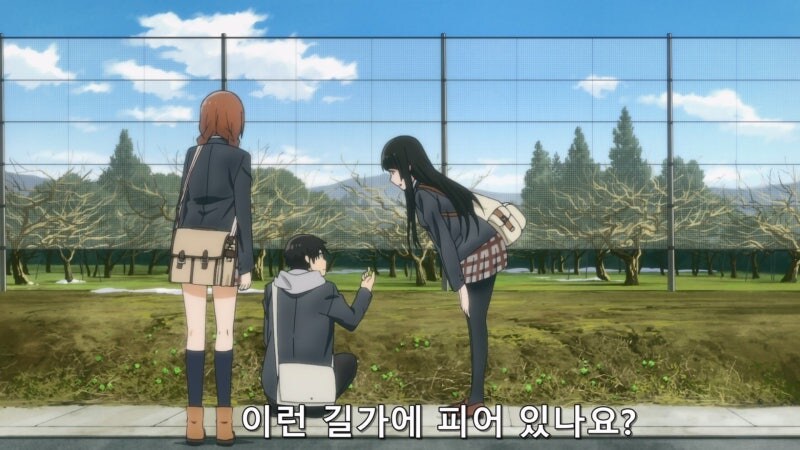 길가에 자란 나물을 채취할때 유의사항_5.jpg