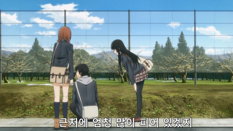 길가에 자란 나물을 채취할때 유의사항_6.jpg
