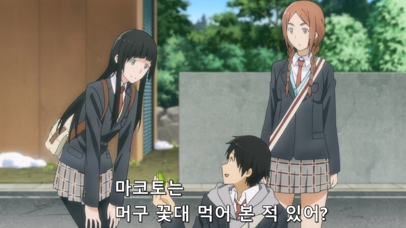 길가에 자란 나물을 채취할때 유의사항_11.jpg