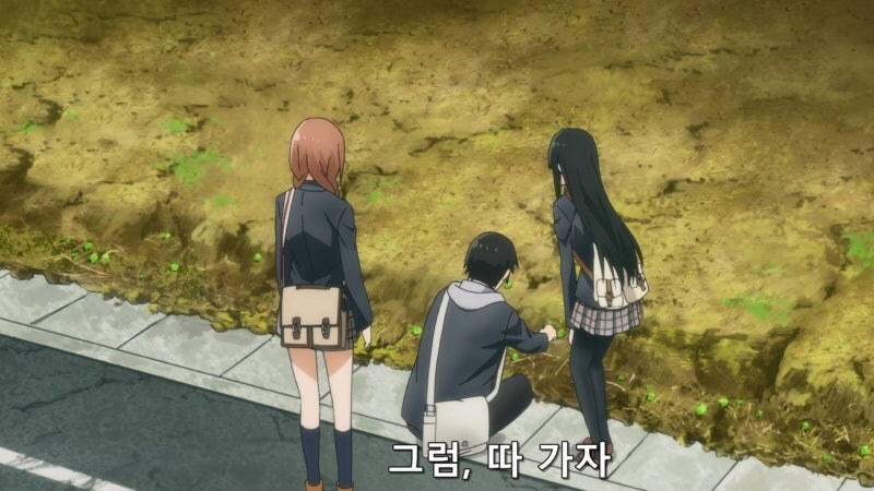 길가에 자란 나물을 채취할때 유의사항_13.jpg
