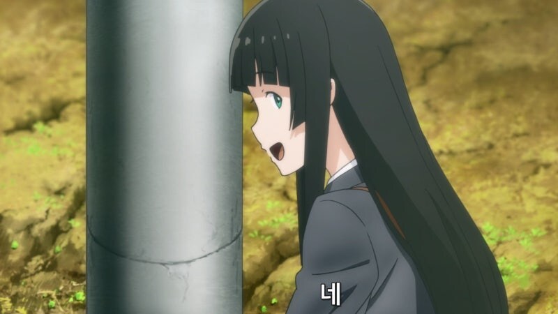 길가에 자란 나물을 채취할때 유의사항_18.jpg