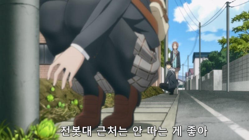 길가에 자란 나물을 채취할때 유의사항_19.jpg