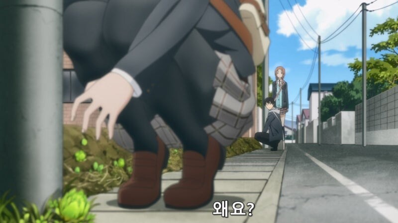 길가에 자란 나물을 채취할때 유의사항_20.jpg