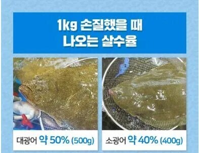 정말 인간에게 먹히기 위해 존재하는 생선_2.jpg