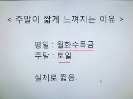주말이 짧은 이유_1.jpg
