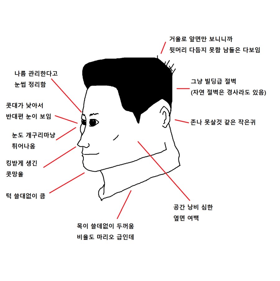 옆에서 보는 우리 얼굴 리뷰_2.png