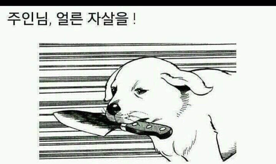 디지몬 보러 갔다가 알게된 유익한 지식_1.jpg