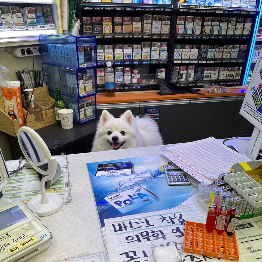 저기요 계산해주세요... 웃지만 말고.._2.jpg