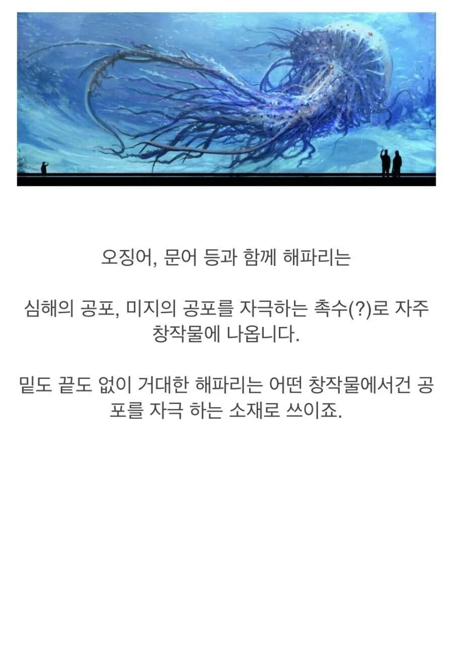심해의 공포를 자극하는 해파리.jpg_1.jpg