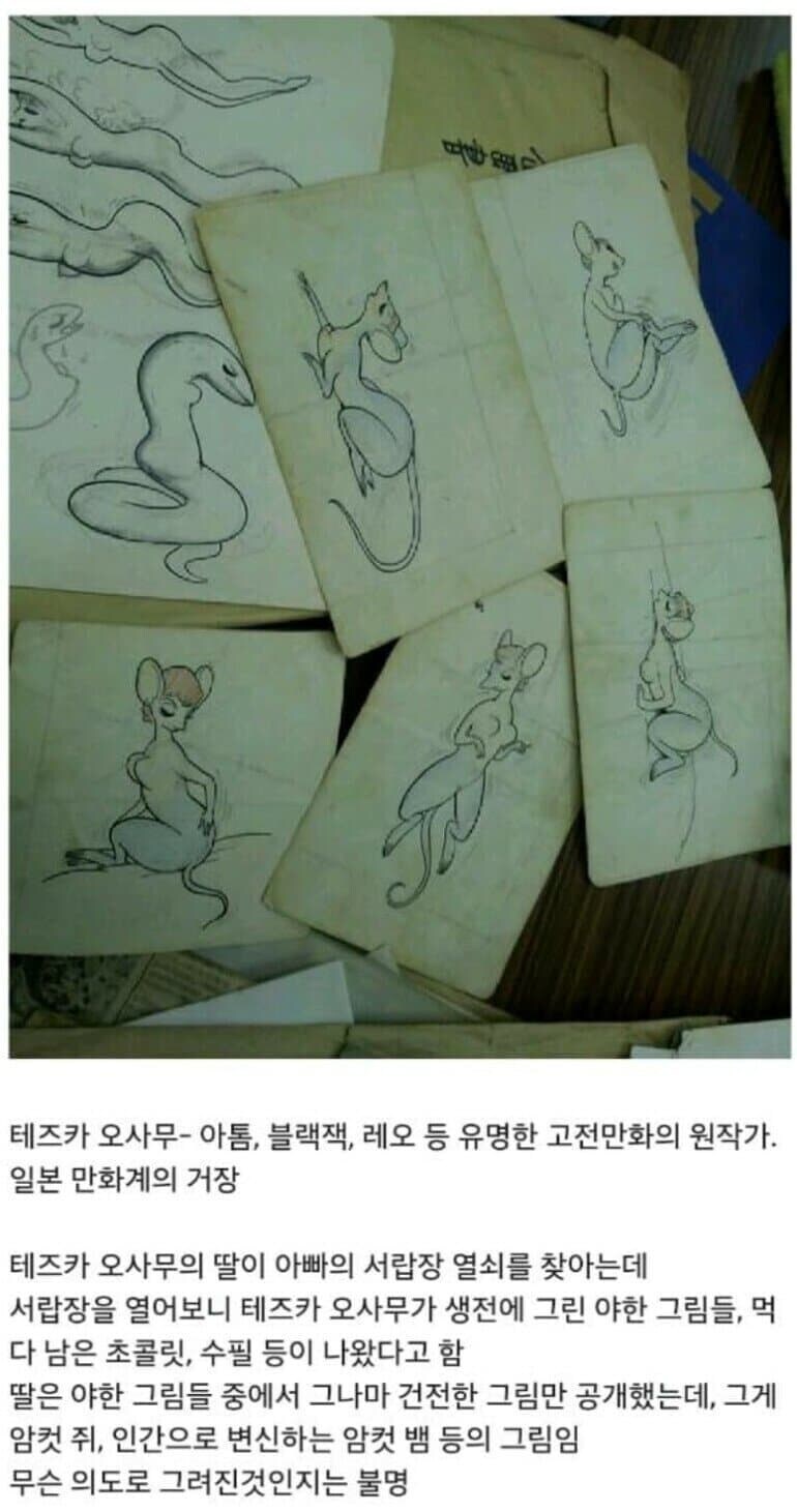 데즈카 오사무가 수인야짤을 그렸다는 사실은 유명하지_1.jpg