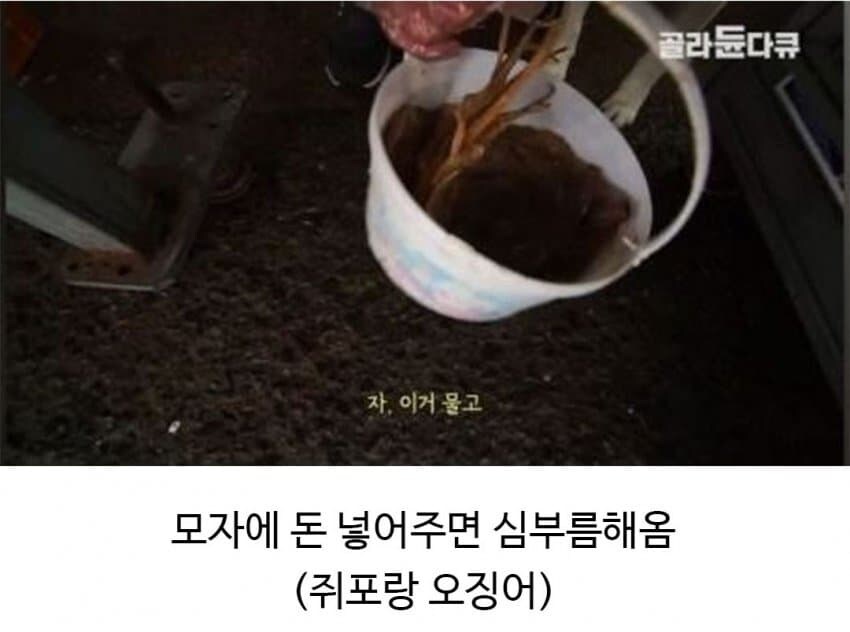 할아버지의 신통방통한 친구.jpg_2.jpg