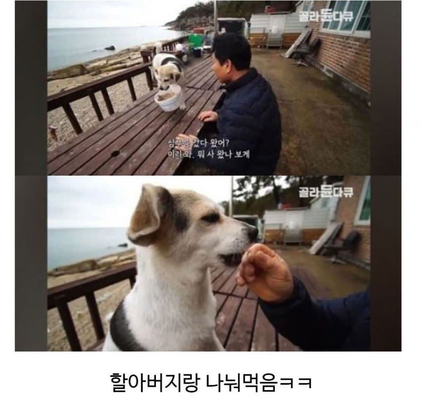 할아버지의 신통방통한 친구.jpg_3.jpg